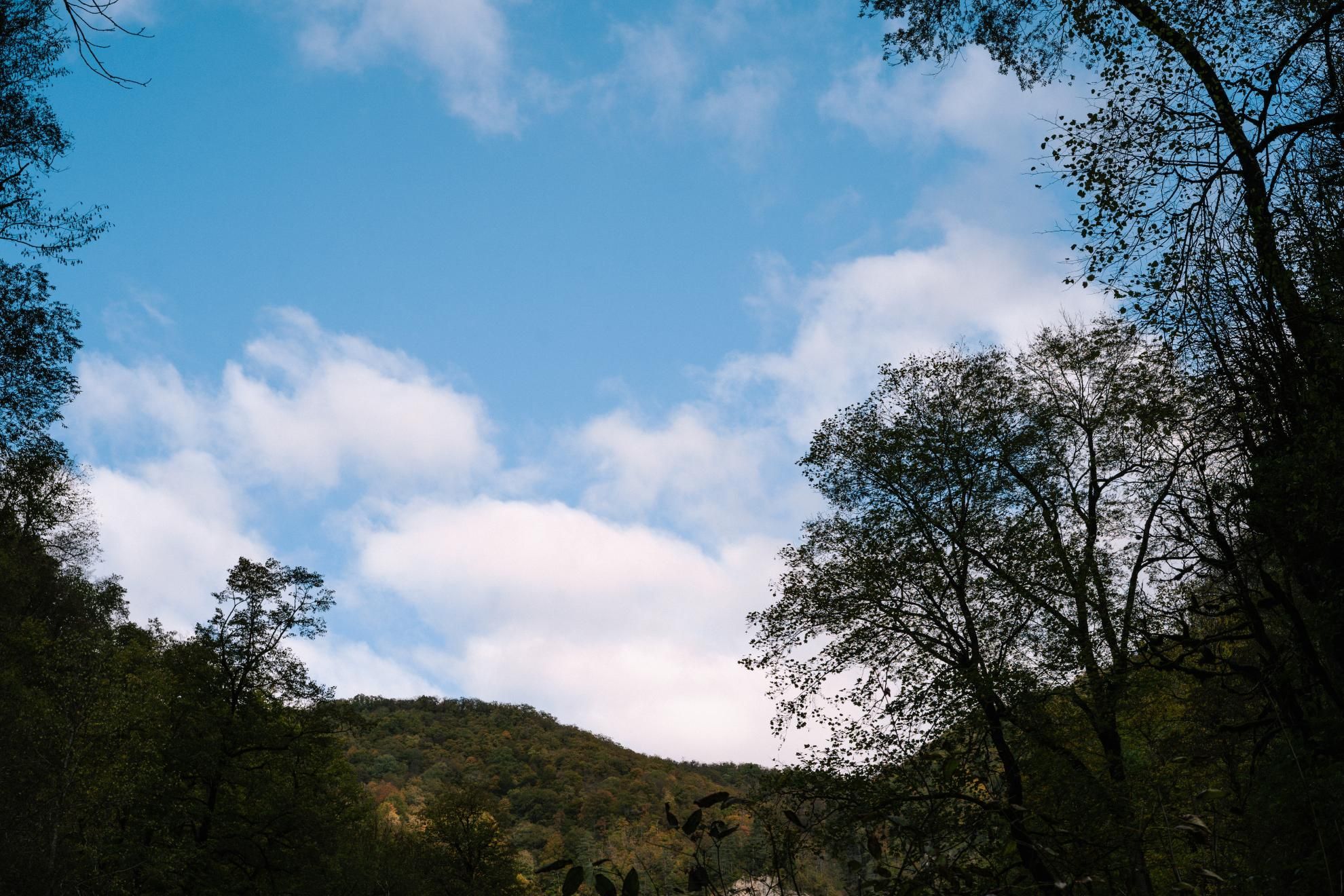 Фото из тура