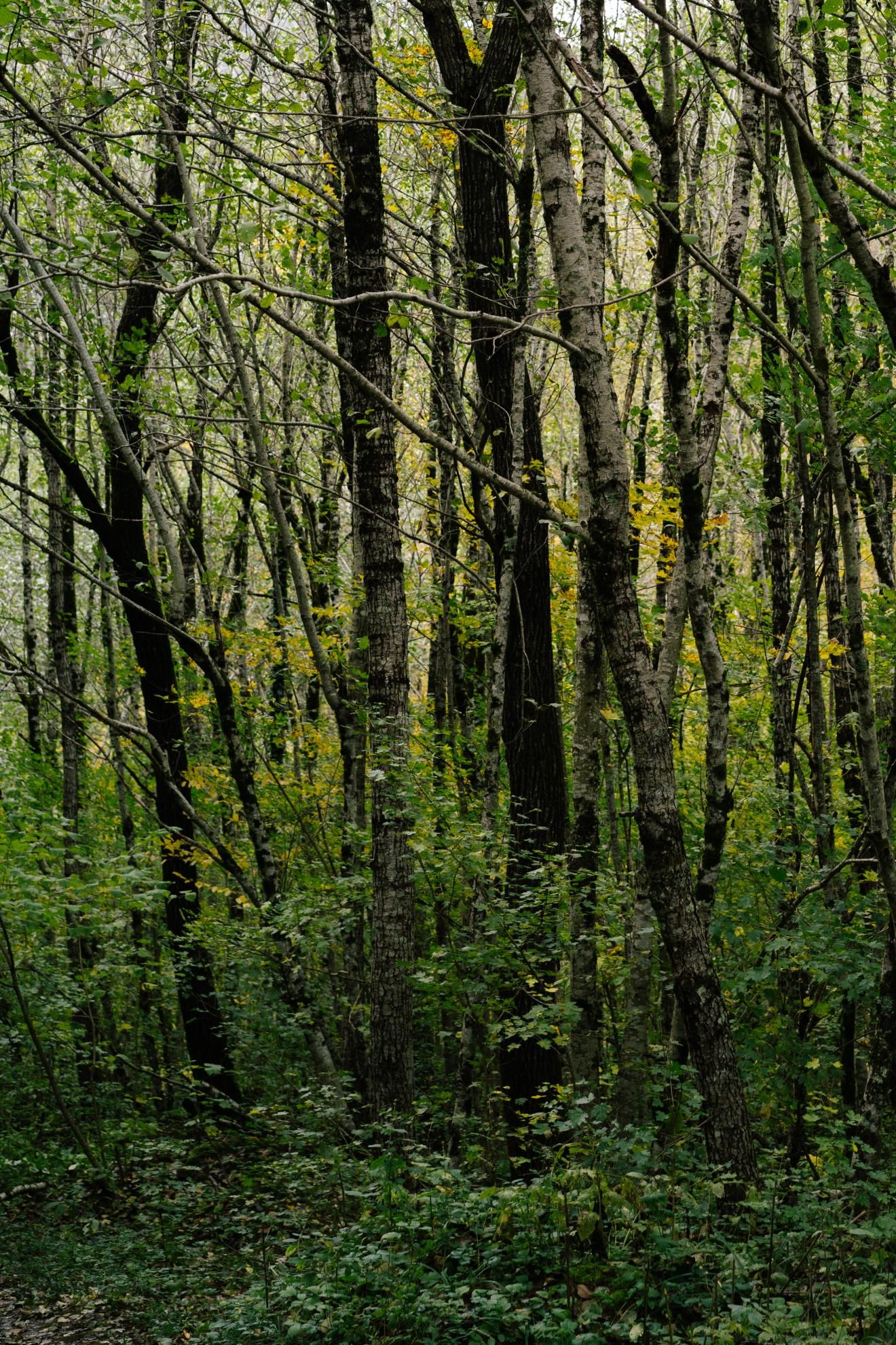 Фото из тура