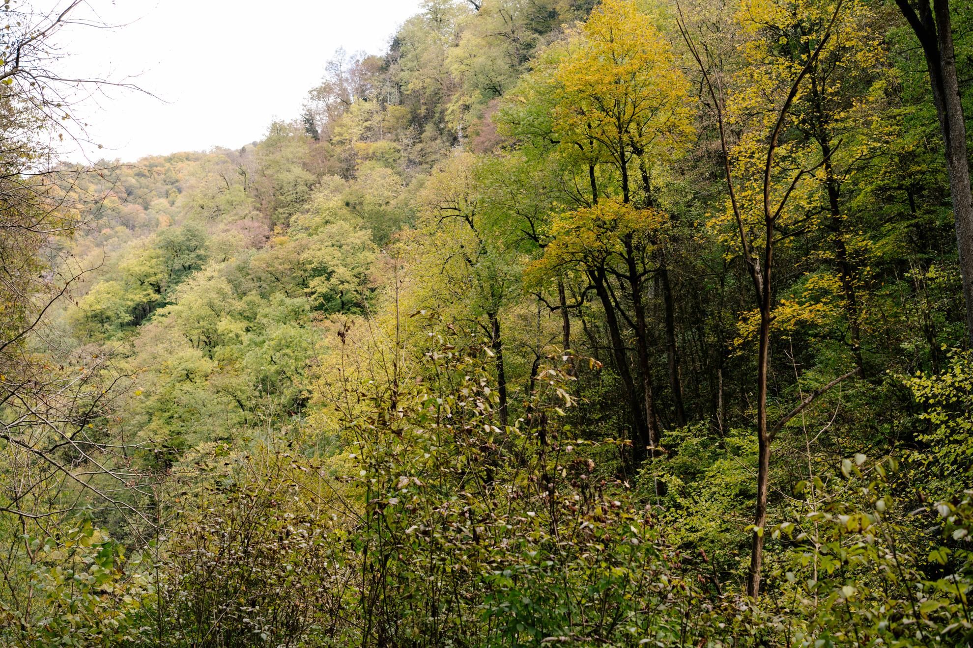 Фото из тура