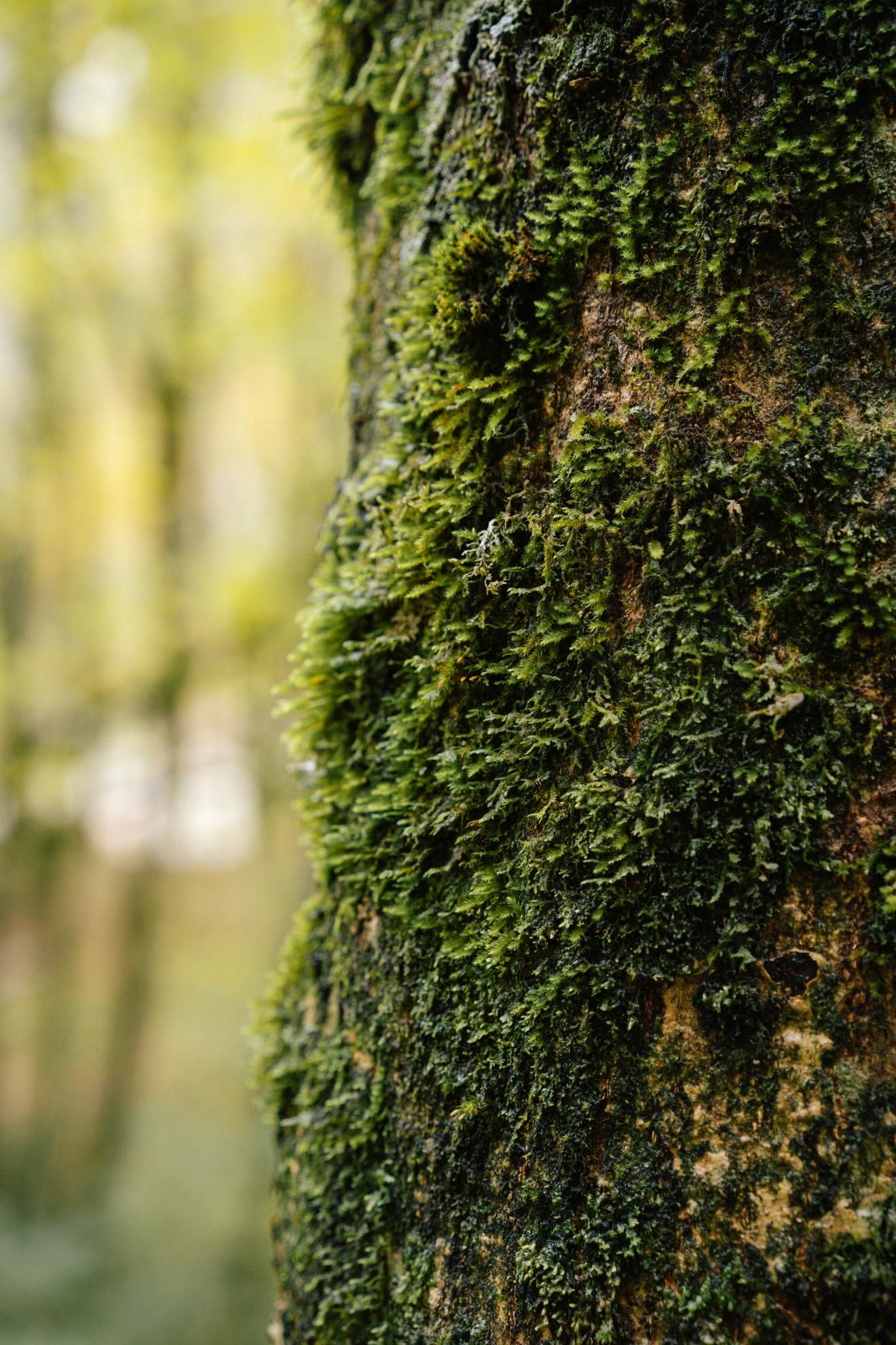 Фото из тура