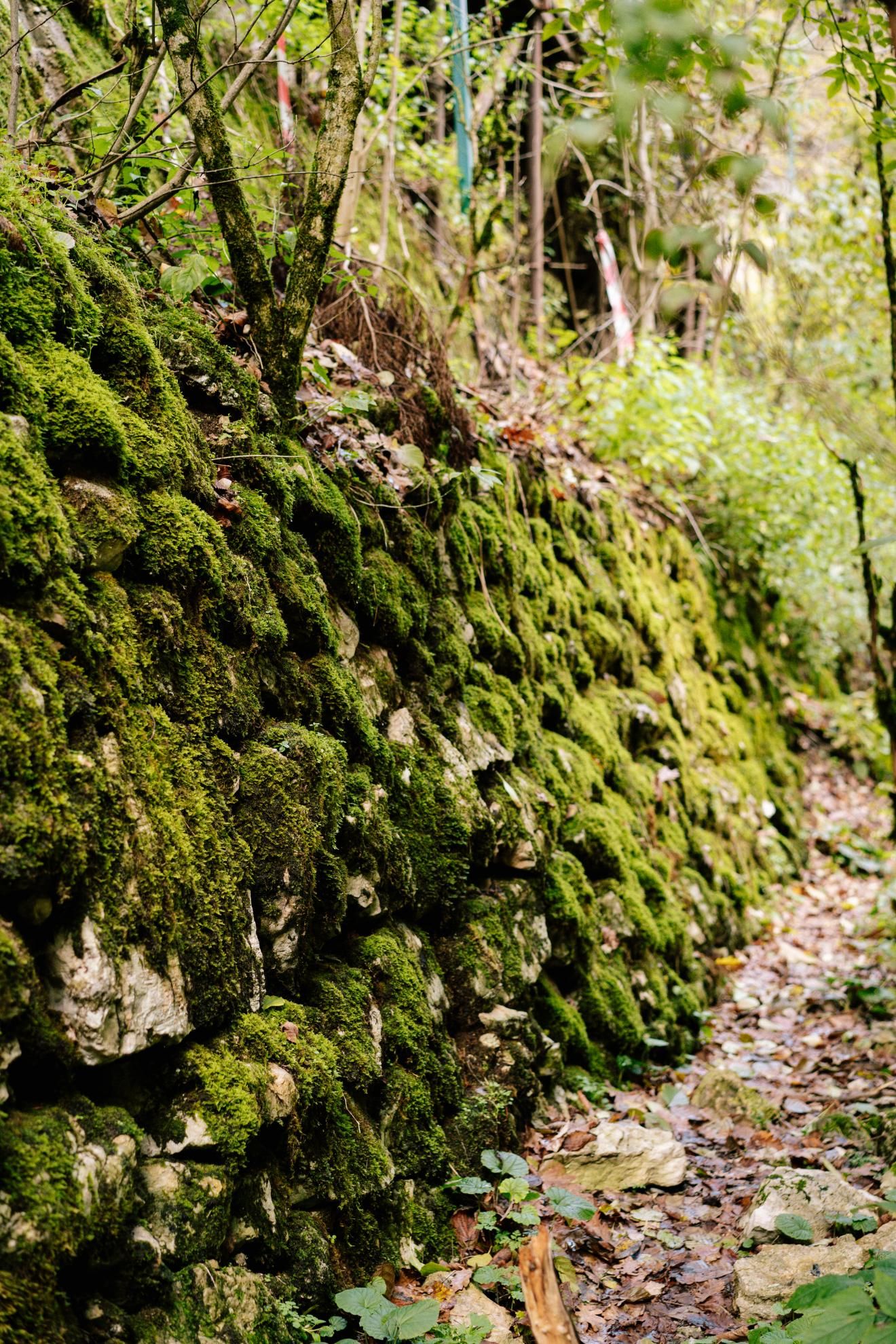 Фото из тура