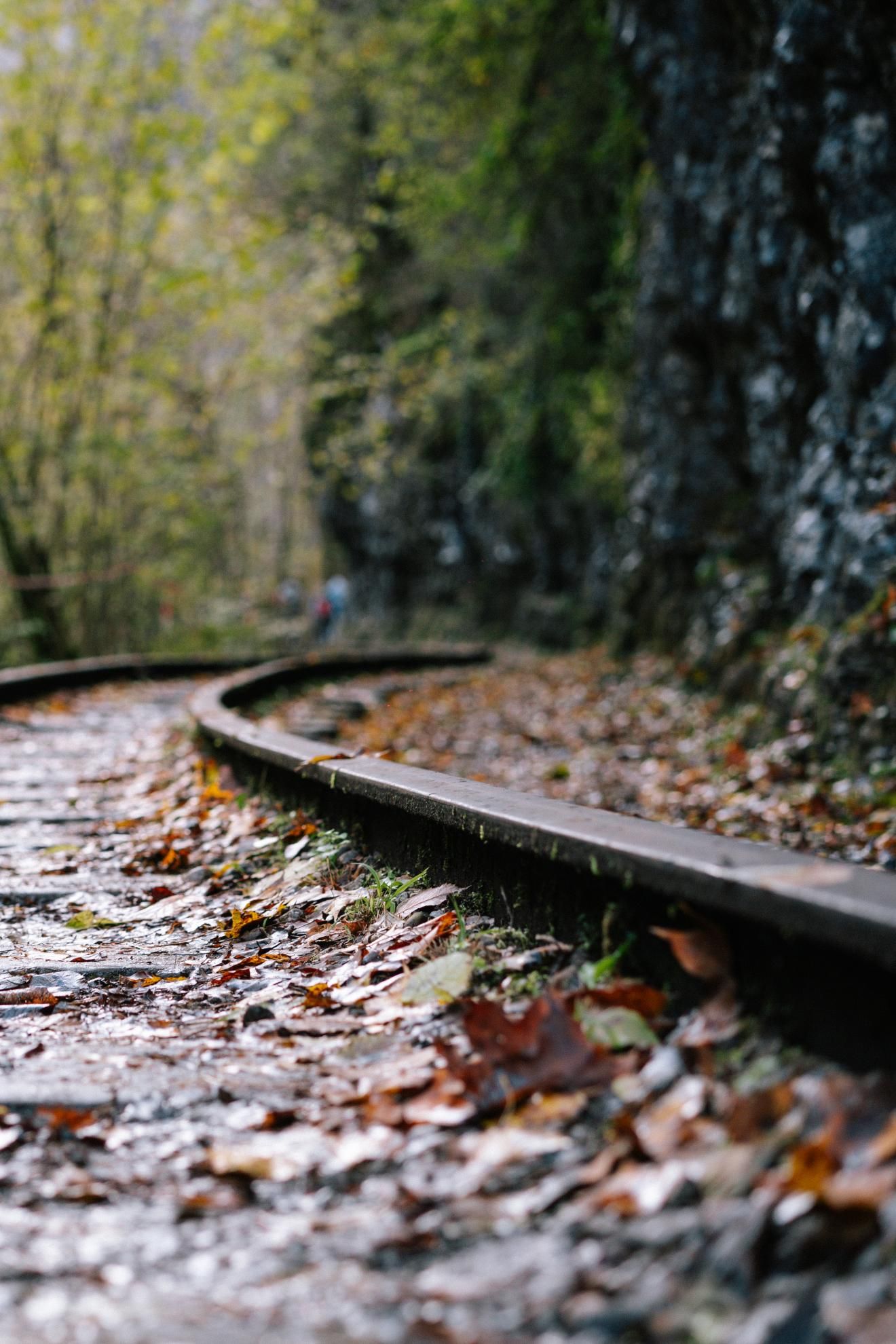 Фото из тура