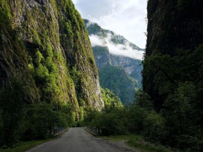 Абхазское гостеприимство: перезагрузка за 3 дня (мандариновые сады)