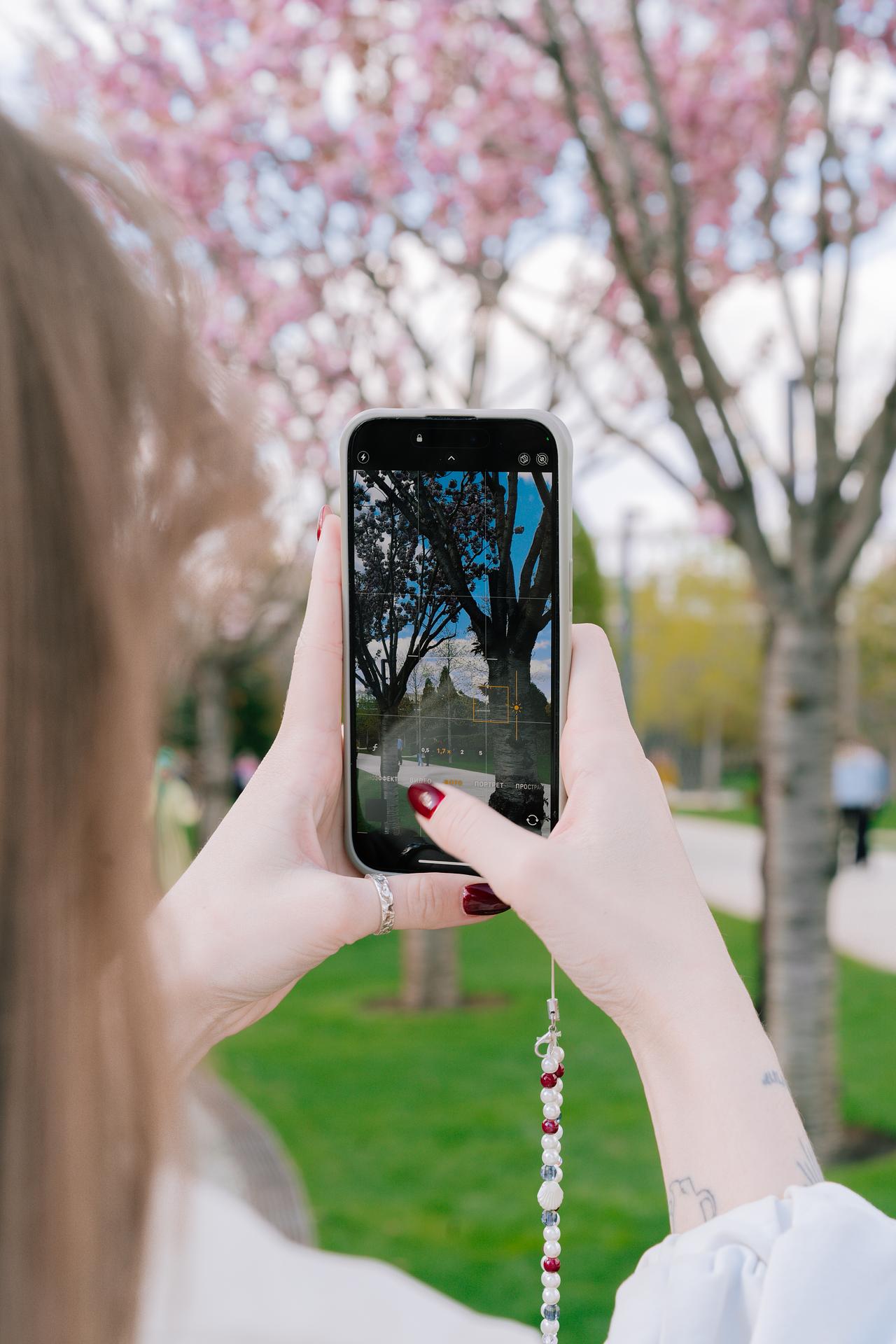 Цветущий Краснодар: парк Галицкого и Японский сад