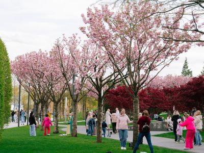 Цветущий Краснодар: парк Галицкого с гарантированным посещением Японского сада