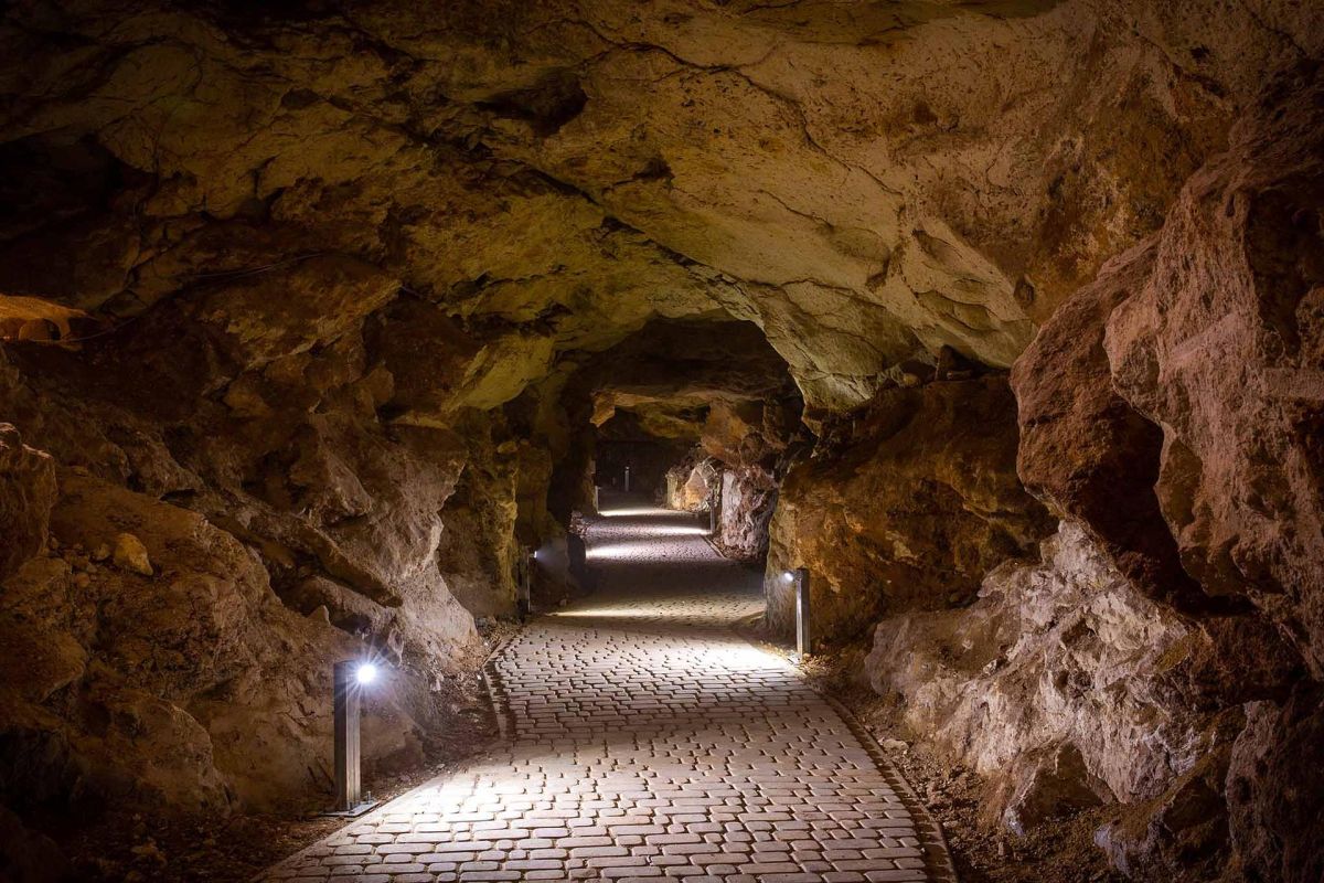 Крым: парк львов Тайган, пещера Таврида