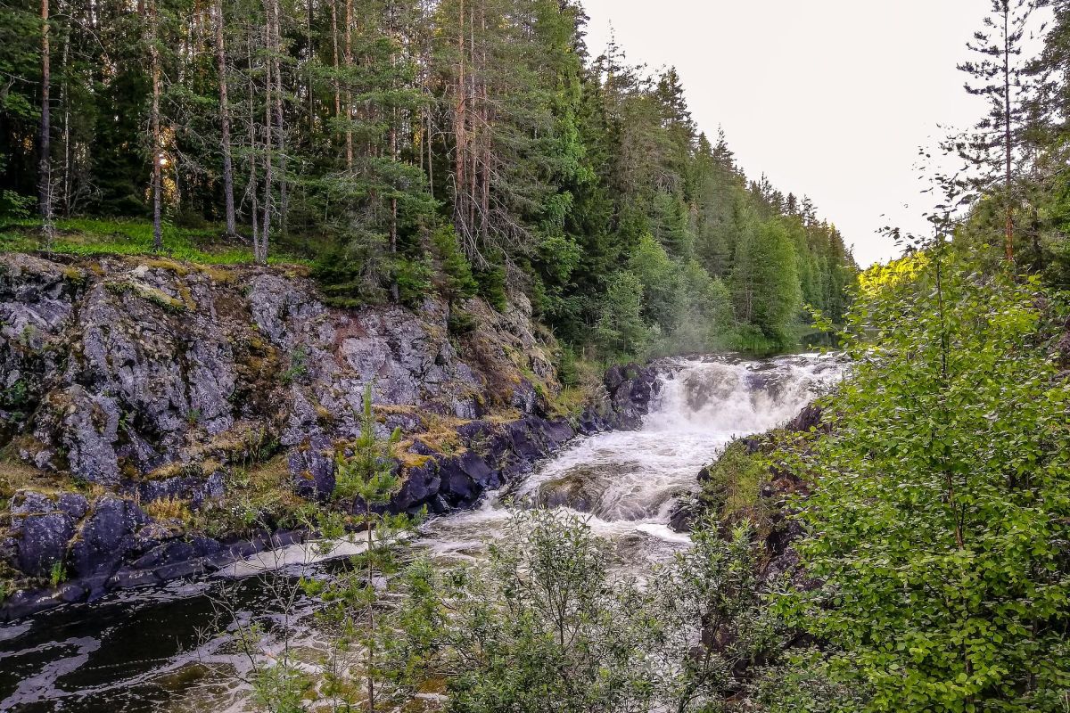 Знакомство с Карелией