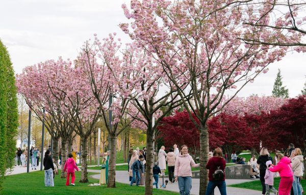 Цветущий Краснодар: океанариум, парк Галицкого и прогулка в центре