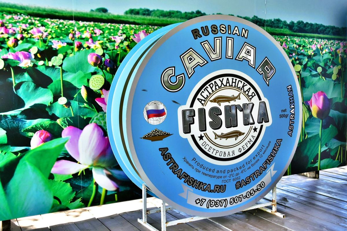 Три столицы Поволжья: Астрахань, Волгоград, Элиста