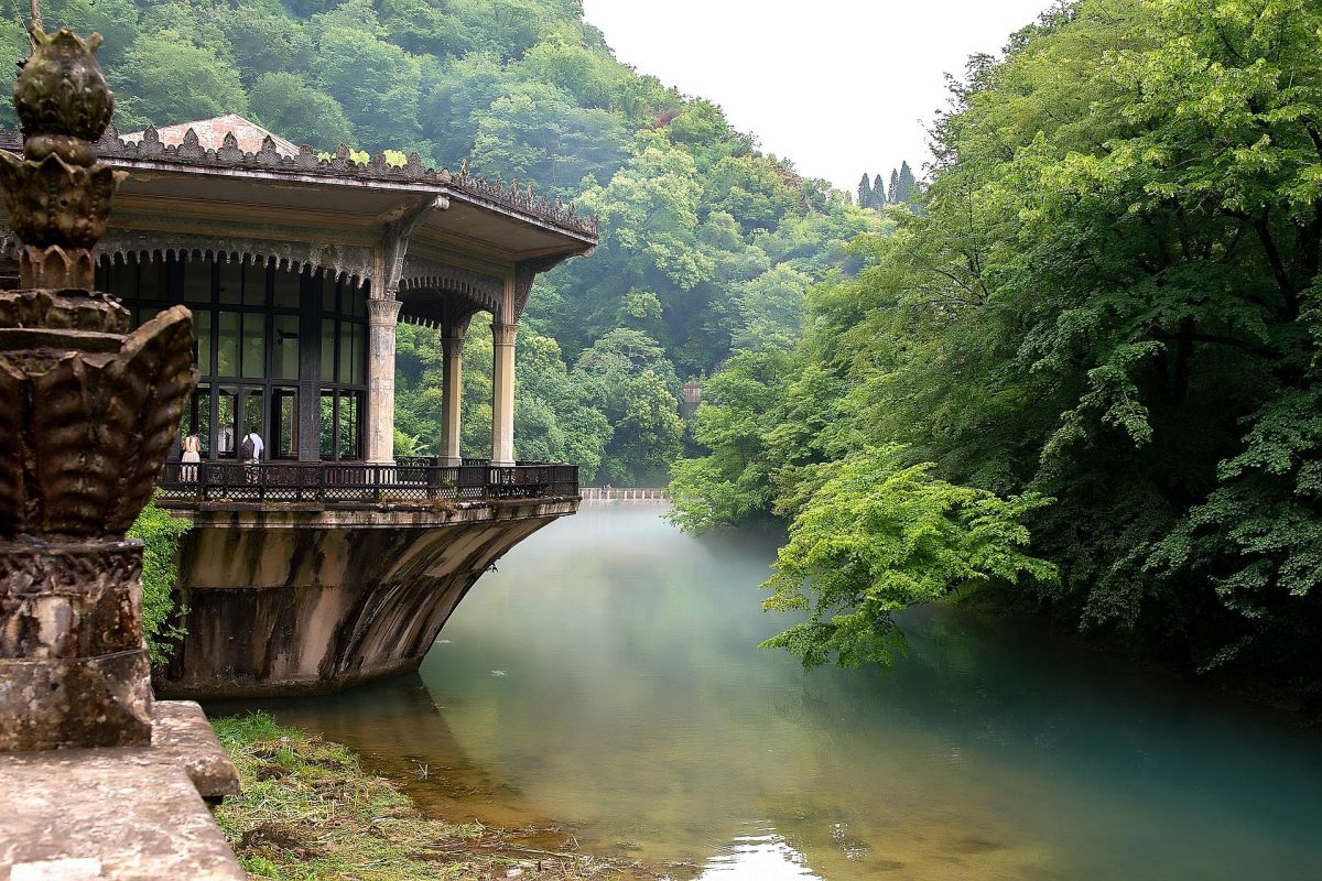 Большой тур по Абхазии: цветение мимозы