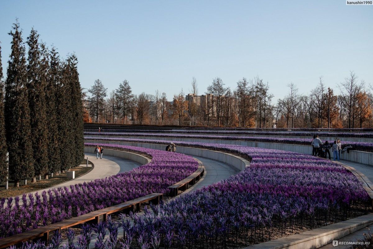 Цветущий Краснодар: парк Галицкого с гарантированным посещением Японского сада
