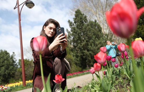 Цветущий Краснодар: карнавал тюльпанов и «парк Облаков»