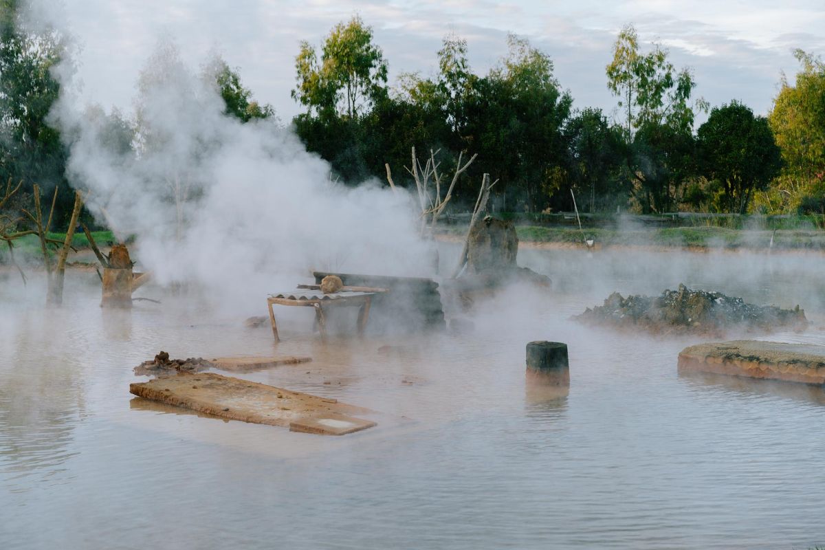 Цветение мимозы в Абхазии (Сухум - Новый Афон - о. Рица – Гагра - Кындыг)