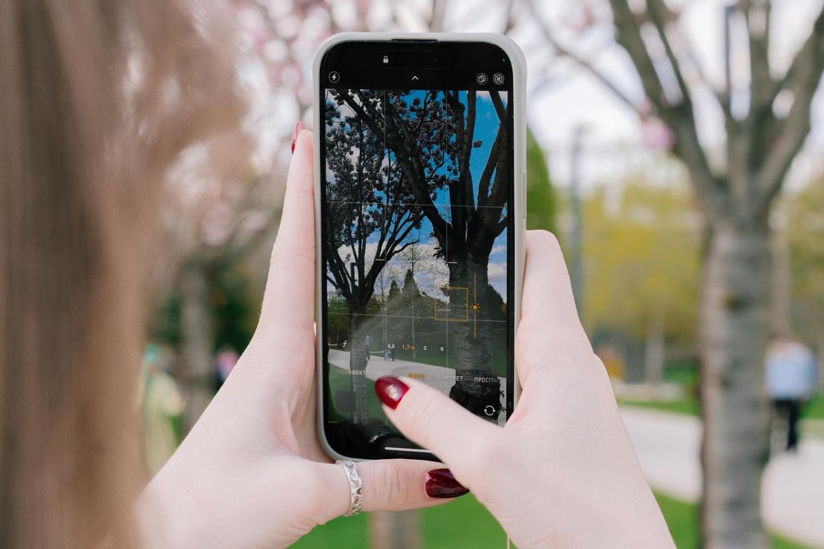 Цветущий Краснодар: парк Галицкого с гарантированным посещением Японского сада