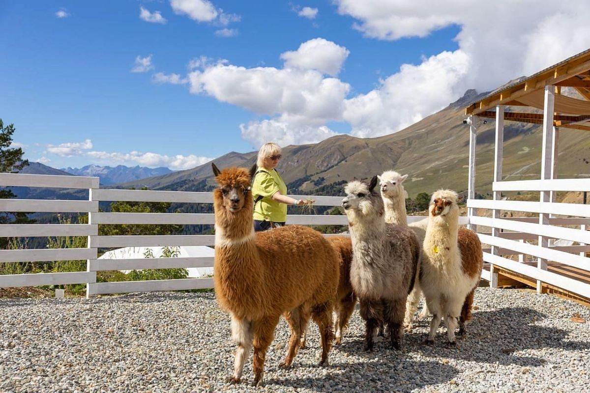 Архыз: горная перезагрузка