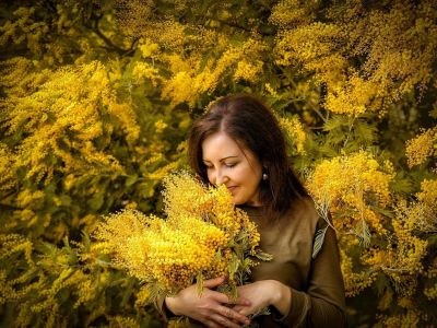 Большой тур по Абхазии: цветение мимозы