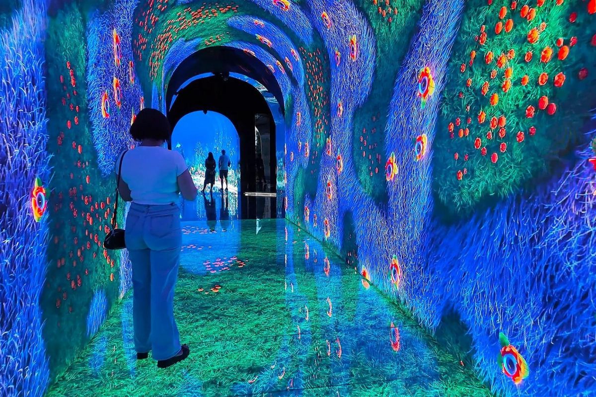 Парк Галицкого в Краснодаре и океанариум «Океан» + ул. Красная