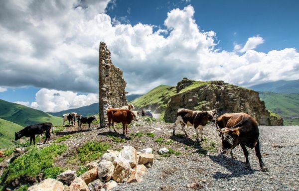 Северная Осетия + Чечня