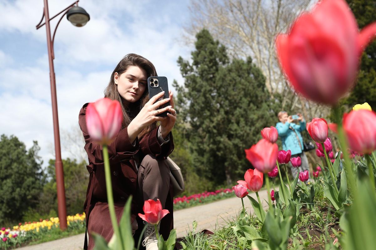 Цветущий Краснодар: карнавал тюльпанов и «парк Облаков»