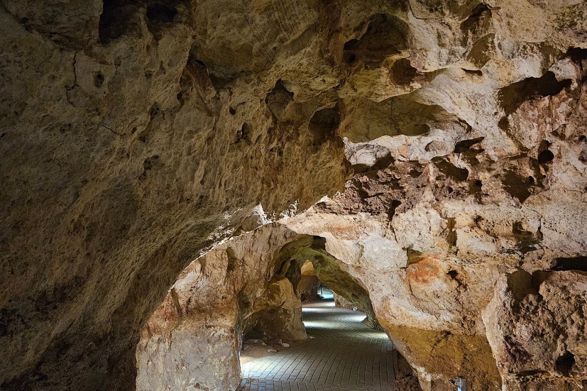 Крым: парк львов Тайган, пещера Таврида