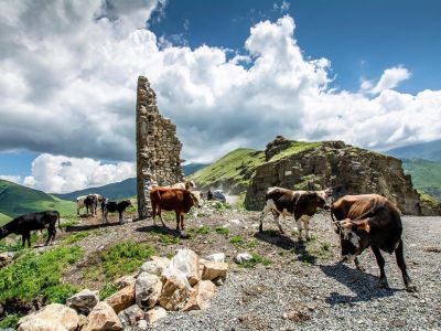 Северная Осетия + Чечня