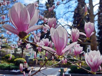 «Отдых на 8 марта: Акваград, АкваЛоо и прогулка по весеннему Сочи».