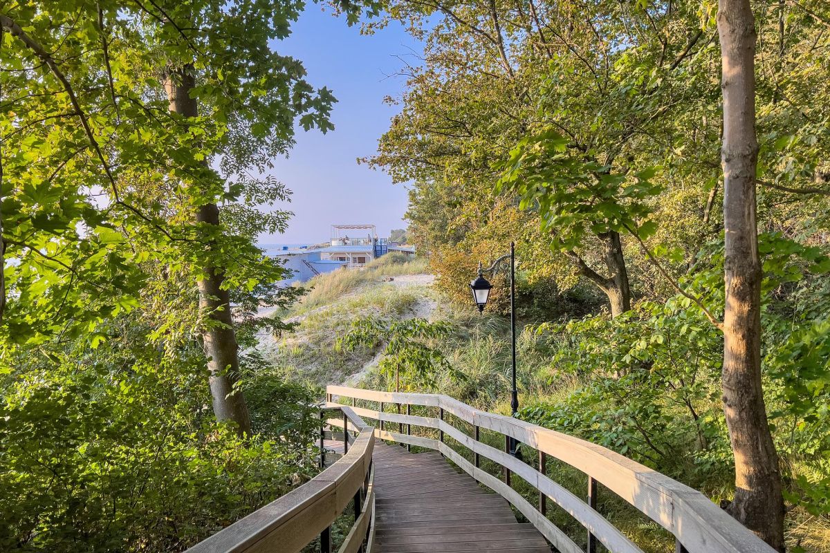 Ж/Д тур в Калининград: Балтийский берег, рыцарские замки и янтарный край