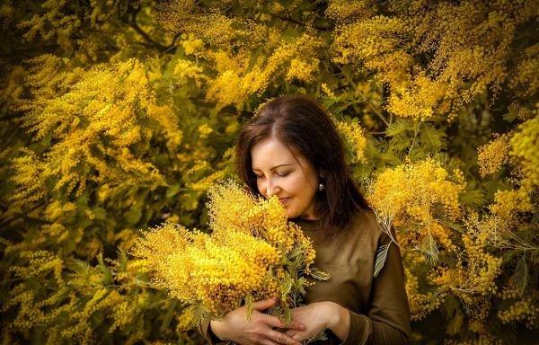 Большой тур по Абхазии: цветение мимозы