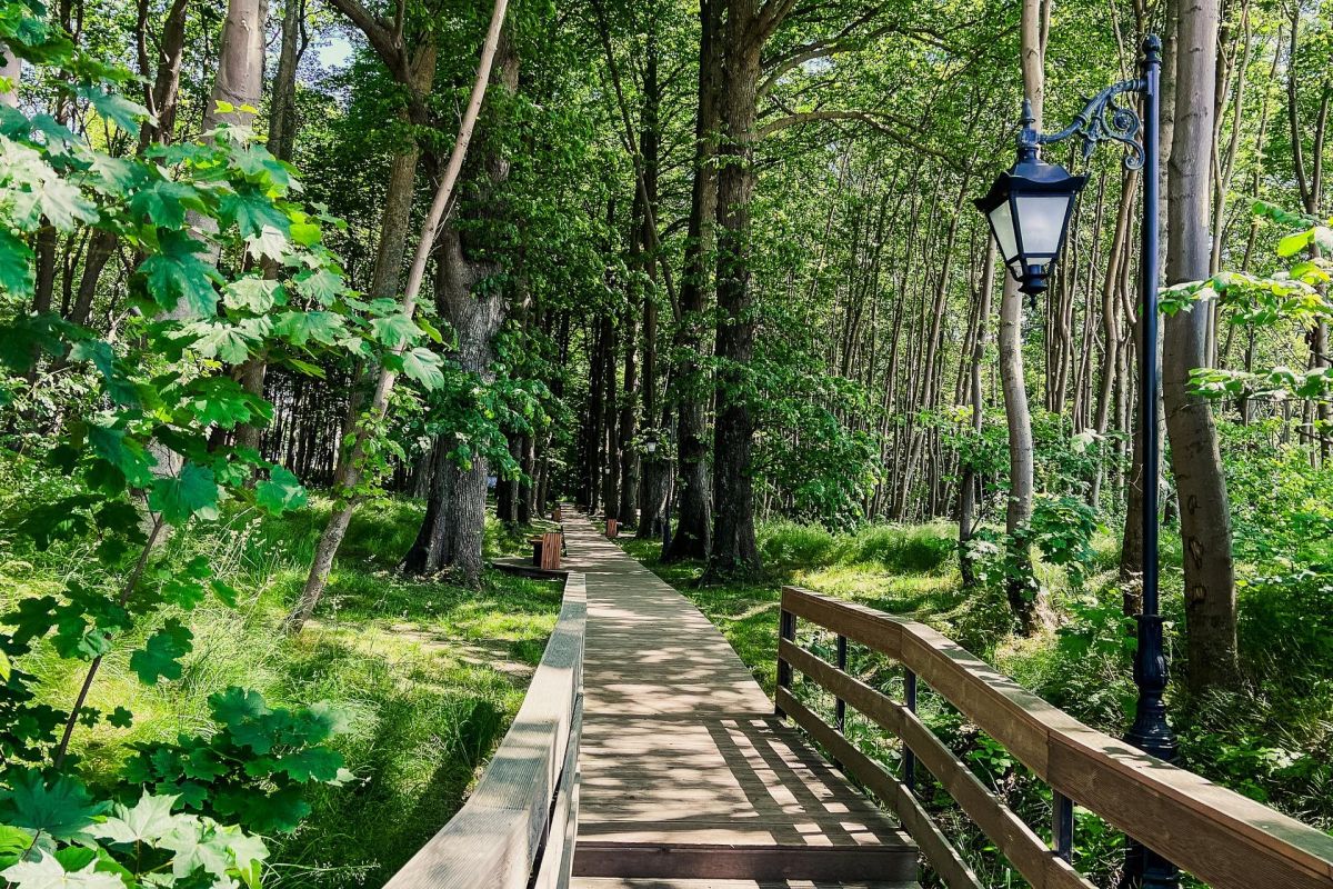 «Изысканное путешествие: Калининград и его блистательные окрестности»