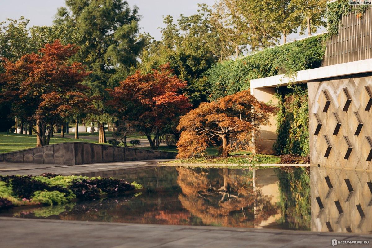 Цветущий Краснодар: парк Галицкого с гарантированным посещением Японского сада