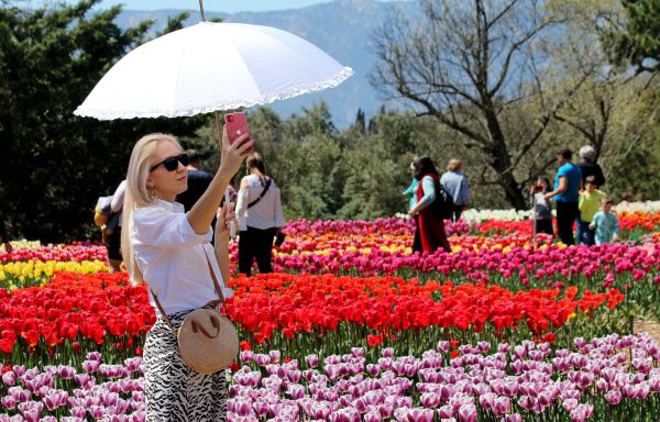 Парад тюльпанов в Ялте (3 дня)