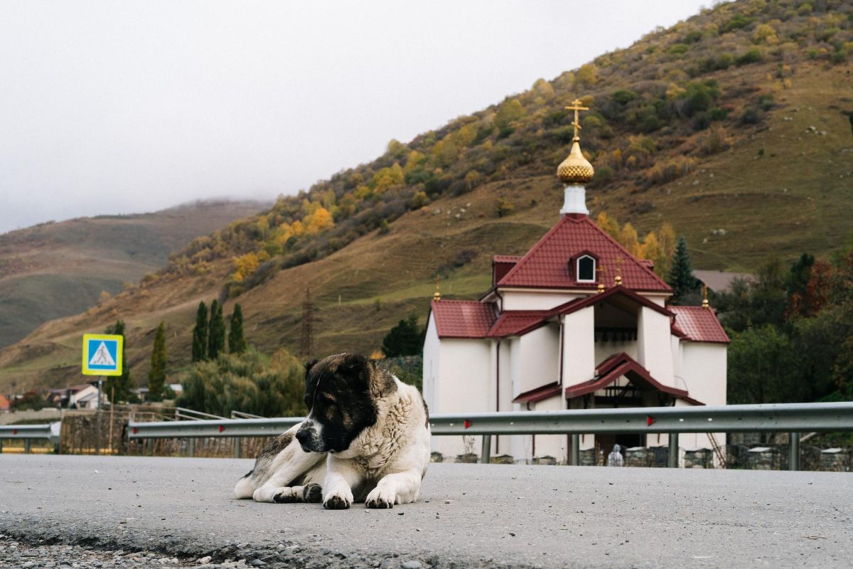 Северная Осетия + Чечня