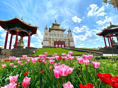 Калмыкия: буддийские храмы + цветение тюльпанов