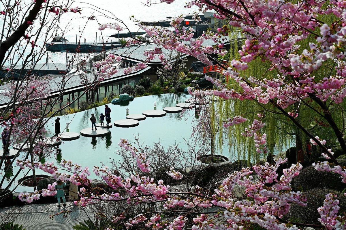 Парад тюльпанов в Крыму: Ялта, Новый Херсонес, Севастополь