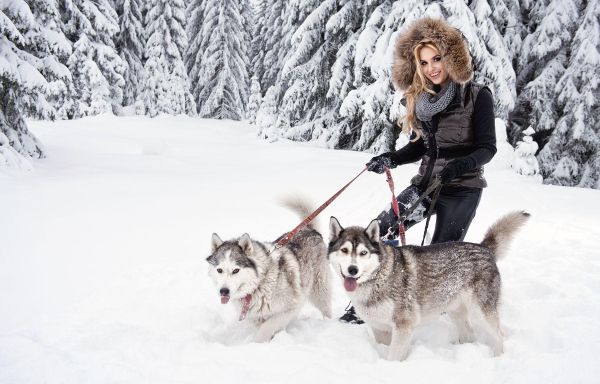 Зимний драйв в Лаго-Наки: хаски, ватрушки и термальный релакс