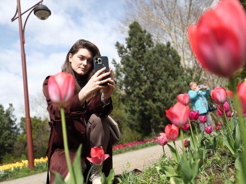 Цветущий Краснодар: карнавал тюльпанов и «парк Облаков»