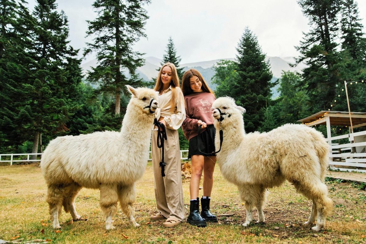 Горячий ключ: канатная дорога «Дыхание гор» + ферма альпак и капибар