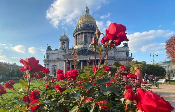 Тур «Северная мозаика»