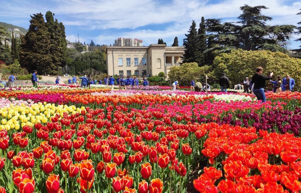 Парад тюльпанов в Крыму (3 дня)