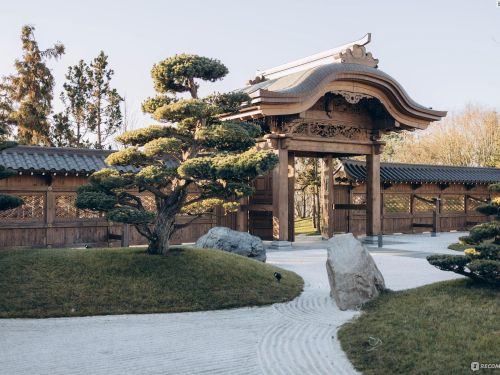 Цветущий Краснодар: парк Галицкого с гарантированным посещением Японского сада