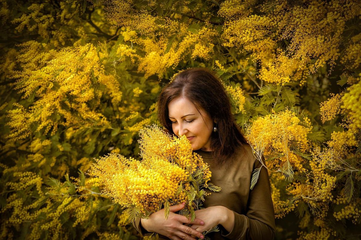 Большой тур по Абхазии: цветение мимозы