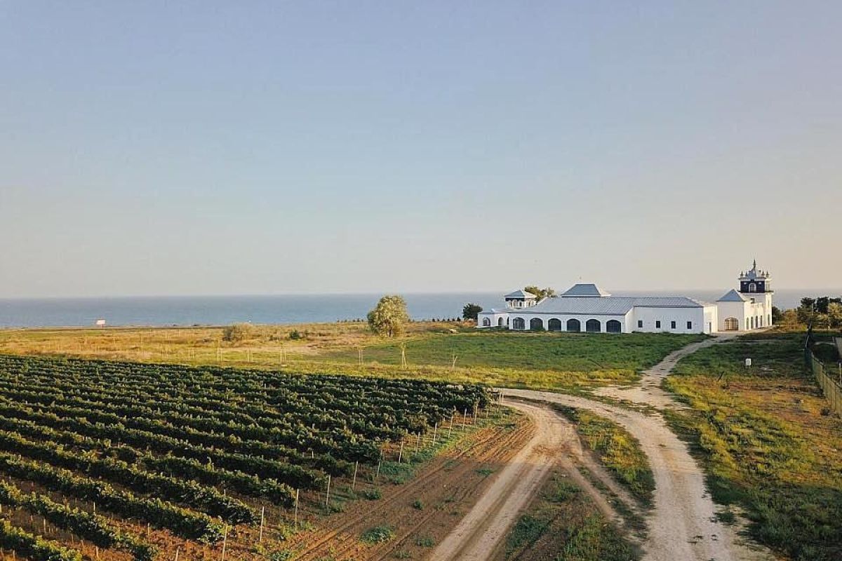 Винная релаксация: SPA, дегустация и сила терруара