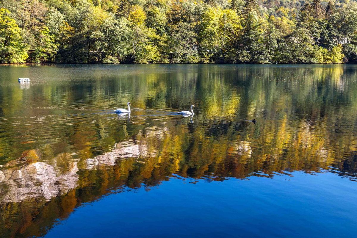 «От ущелий до Эльбруса: путешествие по Кабардино‑Балкарии»