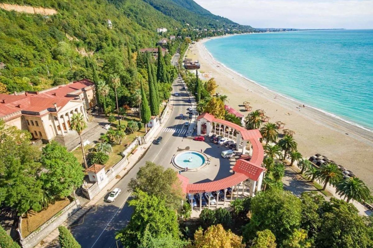 Большой тур по Абхазии: цветение мимозы