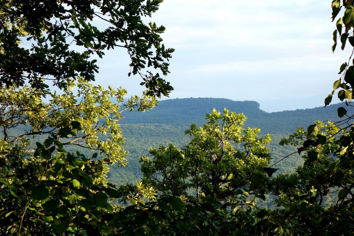 Свято-Михайловский Монастырь, гора Физиабго и ущелье Мишоко