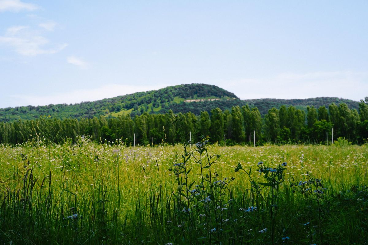 Погружение в горную Адыгею: Даховская панорама, Парящая беседка, Крепости Меот, спа-комплекс «Благодать»