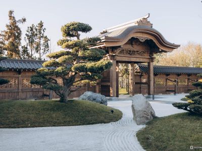 Цветущий Краснодар: парк Галицкого с гарантированным посещением Японского сада