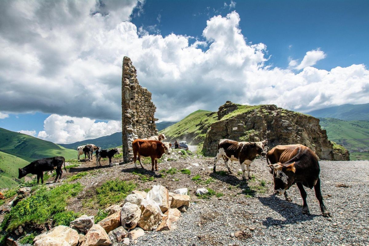 Северная Осетия + Чечня