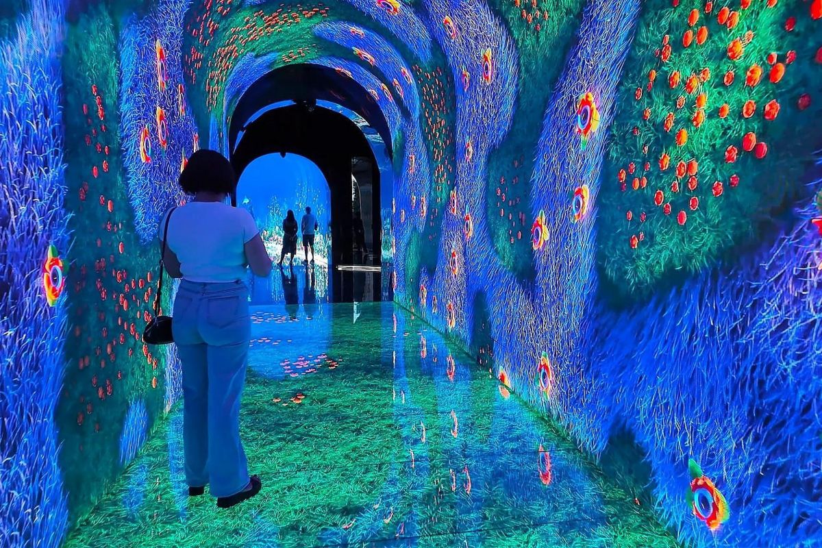 Цветущий Краснодар: карнавал тюльпанов и «парк Облаков»