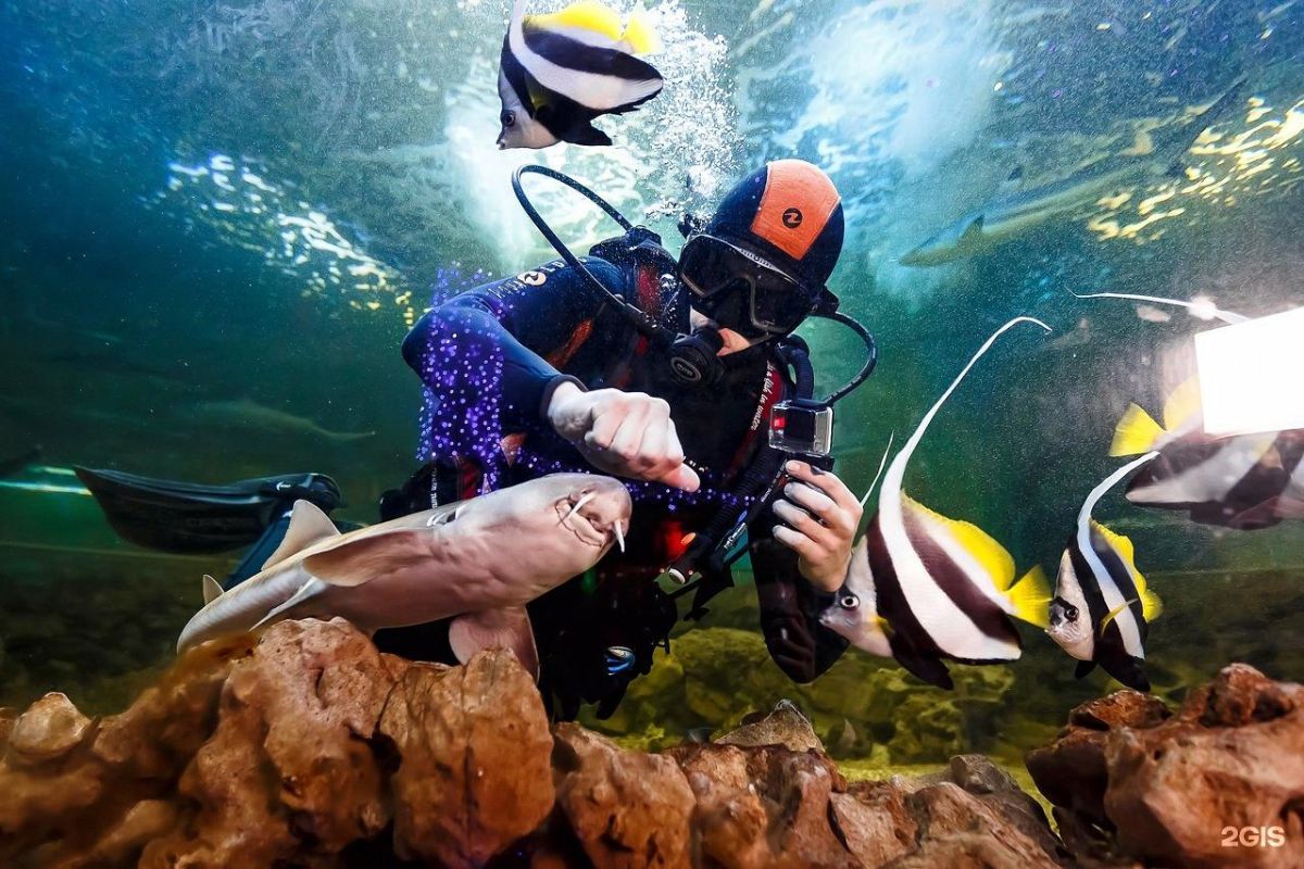 Парк Галицкого в Краснодаре и океанариум «Океан» + ул. Красная